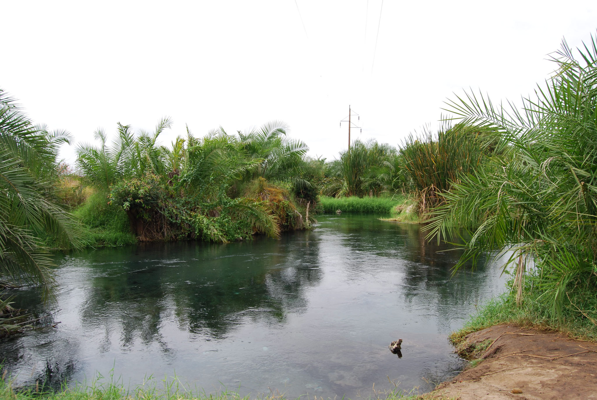 1 Day Kikuletwa Hotspring Tour