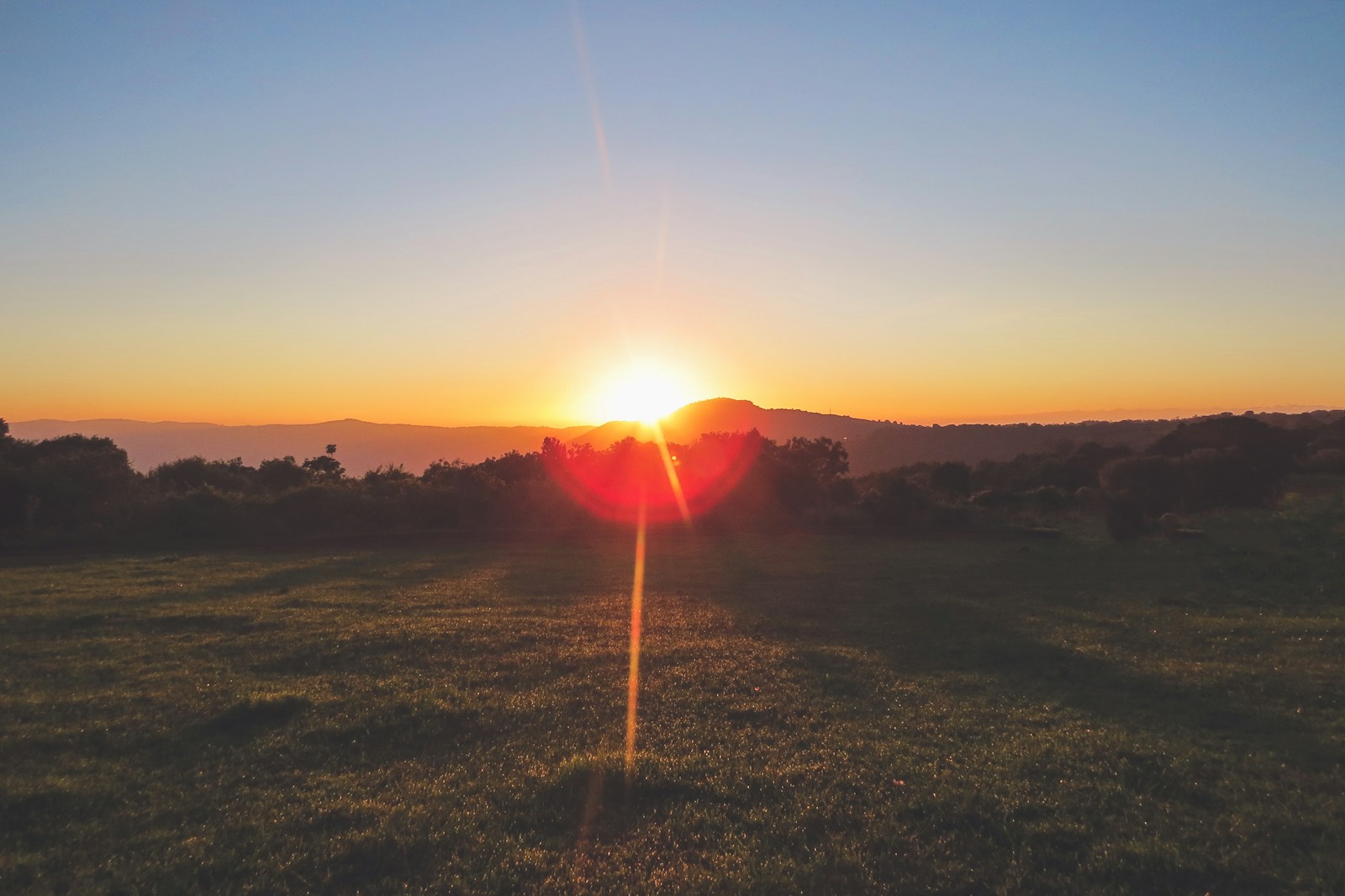 green grass during sunrise