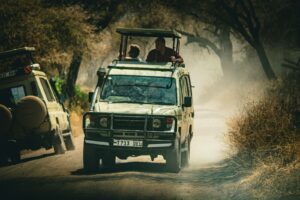 a safari vehicle driving down a dirt road