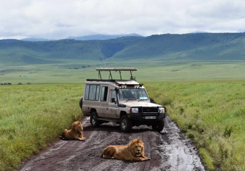 Ngorongoro-Crater-tanzania-safari